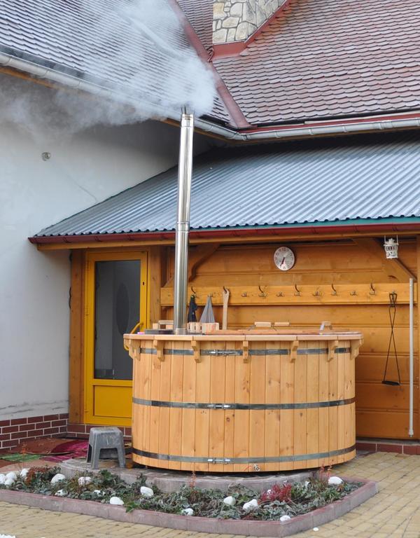 Dom Tulipan Villa Krynica Zdroj Ngoại thất bức ảnh